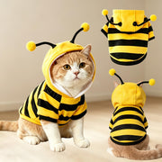 TBAMTBW hoodie abeille face montrant tenue rayée et confort