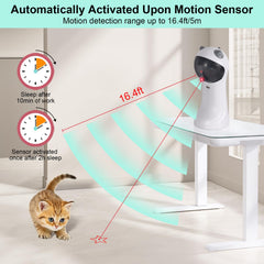 TBTeek en action avec chat jouant, divertissement actif et exercice stimulant