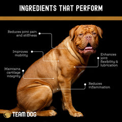 Team Dog pastilles dans la main pour échelle et facilité d'administration