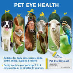 Teardux application sur chien pour confort et zone propre