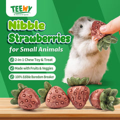 TEEWY fraise tenue en main illustrant échelle et taille adaptée