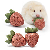 TEEWY emballage avant montrant lot de 4 fraises pour stimulation