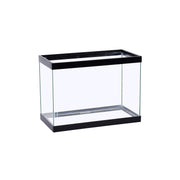 Tetra aquarium en verre vue de face montrant la clarté et l'espace utile