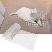 THAMIAO vue frontale du tapis transparent protégeant la moquette