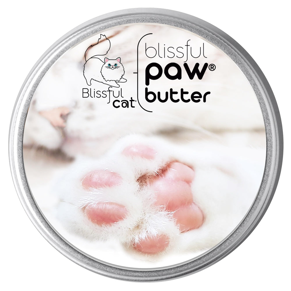 The Blissful Cat Paw Butter pot devant montrant l’emballage et apaisement immédiat