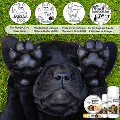 The Blissful Dog application sur patte montrant confort et assouplissement