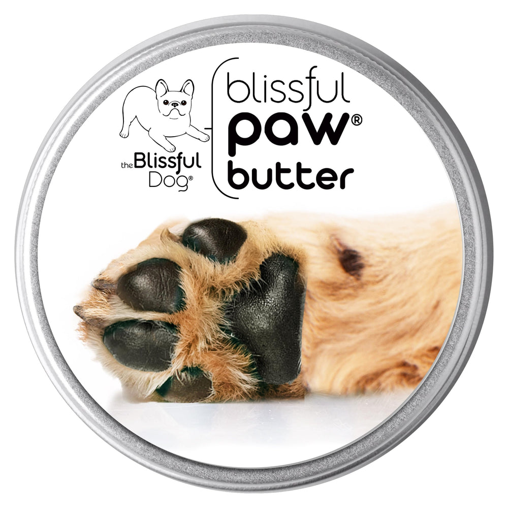 The Blissful Dog pot ouvert montrant le baume, hydratation immédiate