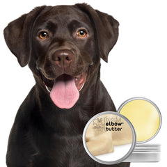 The Blissful Dog texture gros plan révélant beurre onctueux et hydratation