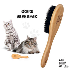 The Buddy System brosse tenue en main pour démontrer prise en main confortable