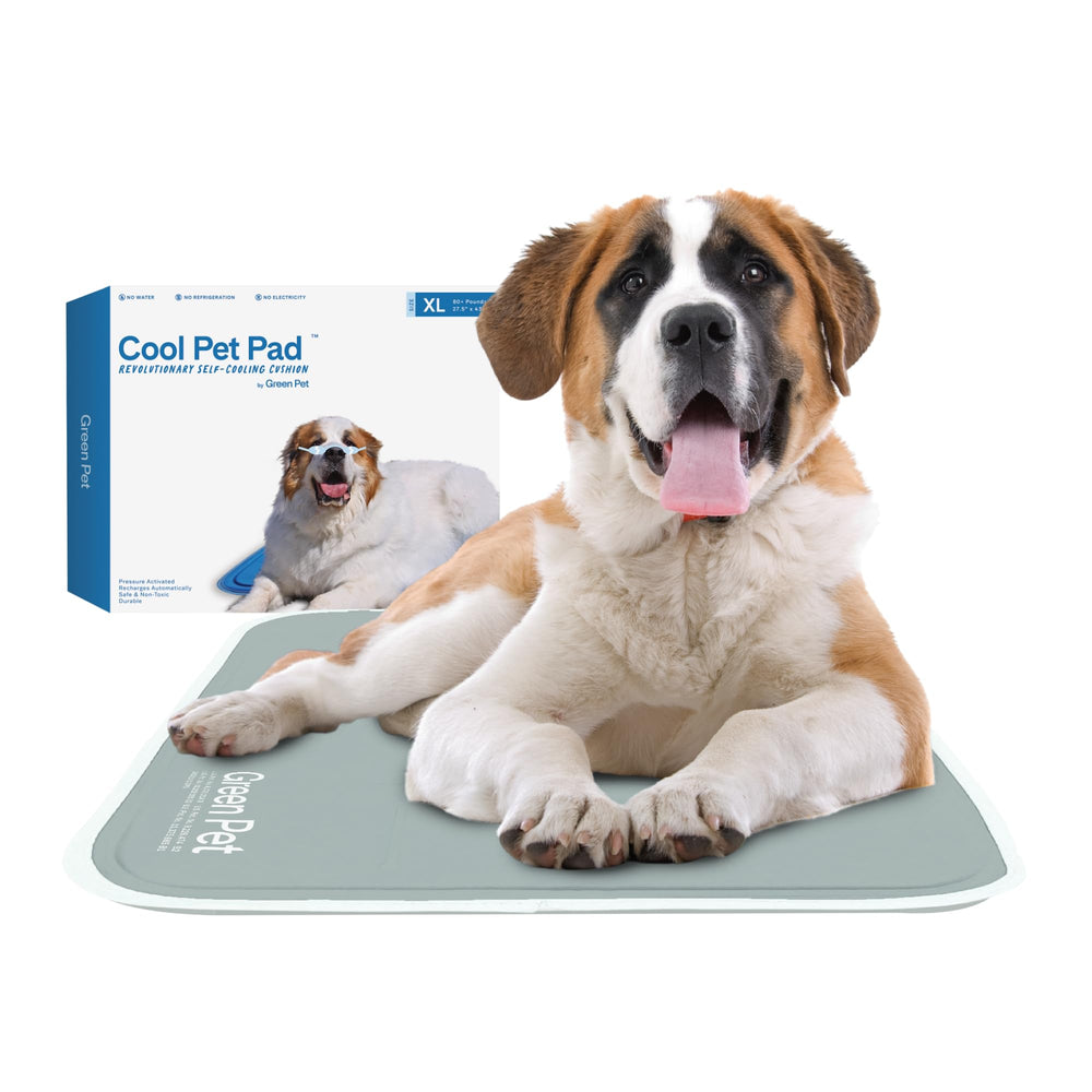 The Green Pet Shop tapis face avant sage gris montrant surface rafraîchissante