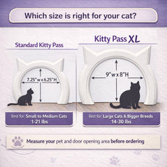 The Kitty Pass comparaison taille avec main, The Kitty Pass montre dimensions et aisance
