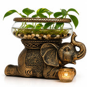 THE NIFTY NOOK bol terrarium vue de face montrant l éléphant décoratif et utilité