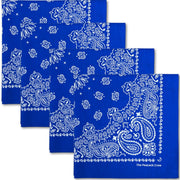 The Peacock Crew emballage avant montrant pack de 4 bleu majorelle, qualité durable