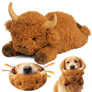 Thenshop vache Highland vue de face montrant la forme attrayante et sécurité