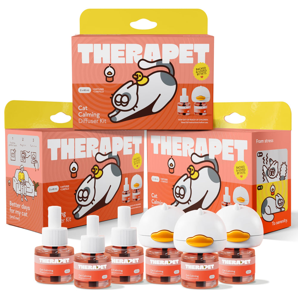 Therapet MD boîtier avant montrant design compact et installation facile