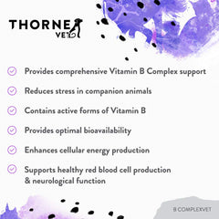 ThorneVET friandise en main démontrant la taille et le format masticable pratique