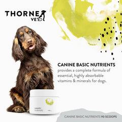 ThorneVet gros plan de la texture en poudre, facile à mélanger pour une absorption optimisée