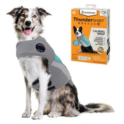 ThunderShirt Breeze face avant aqua montrant maintien et confort