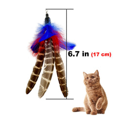 TIENAILING comparaison d'échelle avec une main pour montrer la taille des plumes, adaptation universelle
