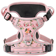 Timos harnais face rose fleur montrant coupe et design, confort évident
