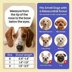 TinyRex muselière en action sur petit chien facilitant halètement