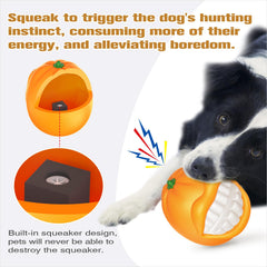 TLKNG chien attrapant la balle en plein lancer pour énergie