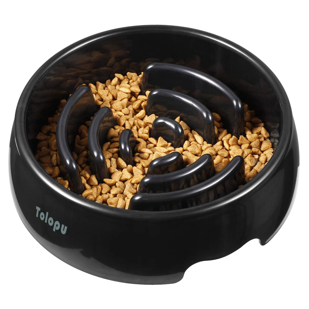 Tolopu gamelle face avant montrant design anti‑gulping et portion généreuse