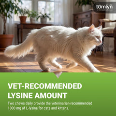 TOMLYN masticable en main comparaison taille facilement administrable