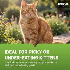 Chaton prenant TOMLYN Nutri-Cal montrant absorption d'énergie rapide et soutien
