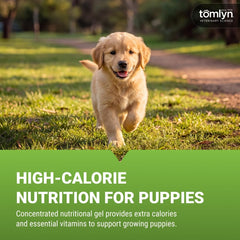 TOMLYN Nutri-Cal tube ouvert prêt à administrer pour gain de temps