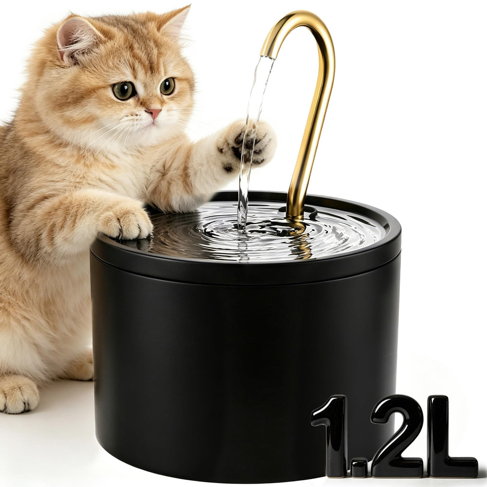Tomxcute fontaine vue de face offrant design élégant et accès facile à l’eau