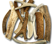 Top Dog Chews emballage avant montrant pack 1 lb et avantage longévité