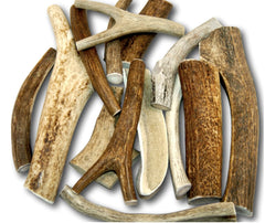 Top Dog Chews emballage avant montrant pack 1 lb et avantage longévité