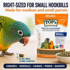 TOP's Parrot Food portion dans la main montrant la taille et densité pratique