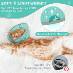 Toptakeit collier porté sur chaton pour récupération sûre