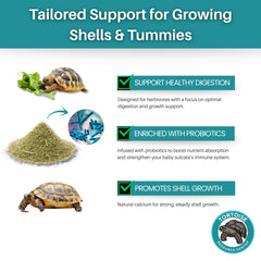 Tortoise Resource Center poudre détail montrant grains et fibres pour digestion saine