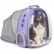 TOYSINTHEBOX sac à dos face montrant fenêtre bulle et forme protectrice