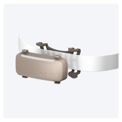 Tractive clip fixé sur collier en situation de promenade, maintien fiable