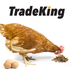 TradeKing zoom sur la texture des grillons séchés pour valeur nutritionnelle visible