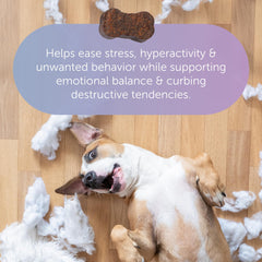 Veterinarian Recommended Solutions gros plan texture chew molle, facile à mâcher