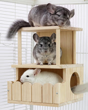 TriGia Paws maison extérieure montrant design sûr et accessible
