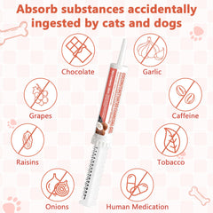 Trihood administration sur chiot pour apport rapide en cas d’ingestion