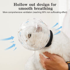 Trivolein casque chat en usage lors d'un toilettage sécurise le soigneur