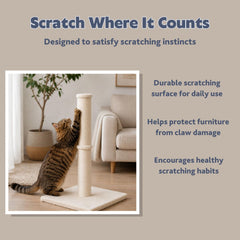 TRIXIE chat utilisant le griffoir montrant amusement et protection du mobilier
