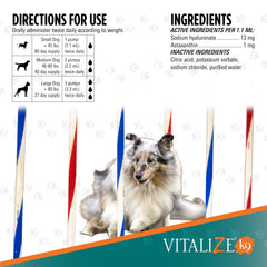 TRIXSYN chiot en utilisation recevant le liquide pour récupération et confort