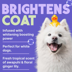 TropiClean chien au bain illustrant facilité d'utilisation et fraîcheur