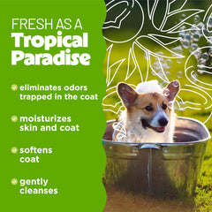 TropiClean mousse riche montrant texture douce pour un meilleur rinçage
