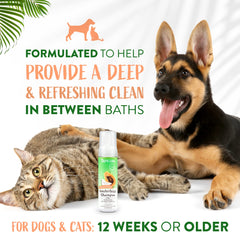 Application du TropiClean sur chien à l'intérieur pour un toilettage sans stress