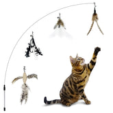 TTcat affichage du kit complet montrant tige et 4 plumes, stimule le jeu