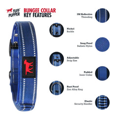Tuff Pupper boucle acier inoxydable durable garantissant sécurité